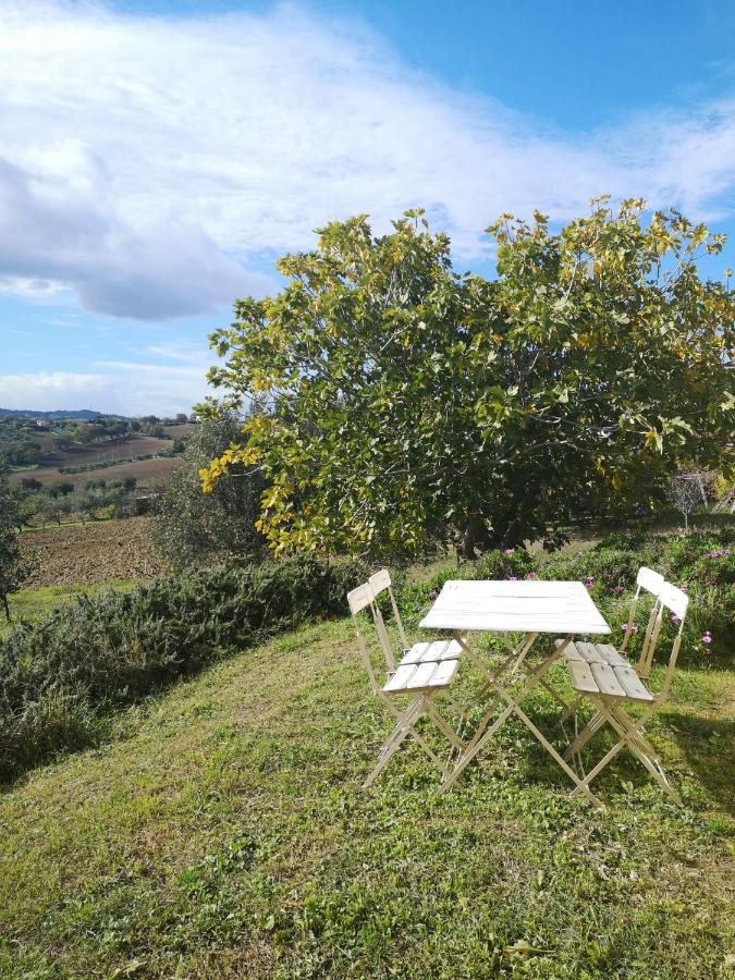 Agriturismo I Ciliegi Appartamento Ginestra Montignano Exterior foto